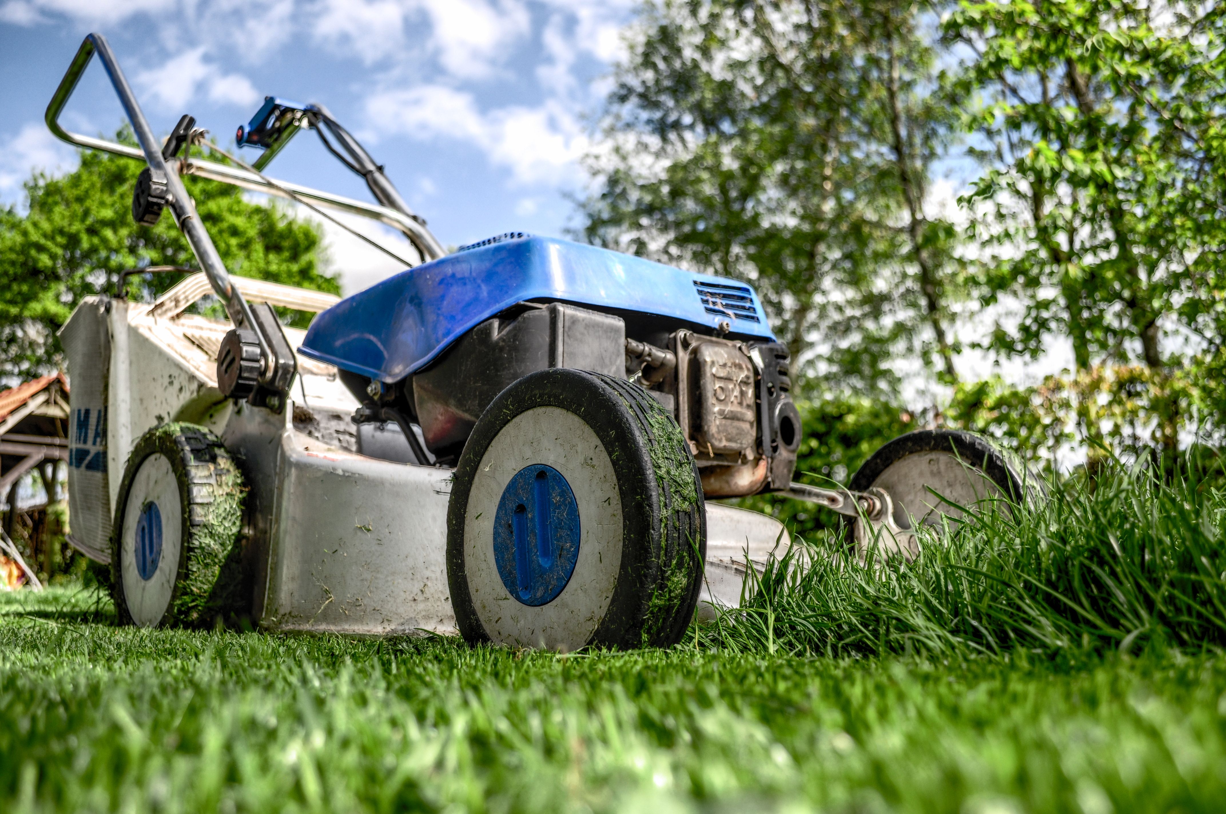 Lawnmower sales