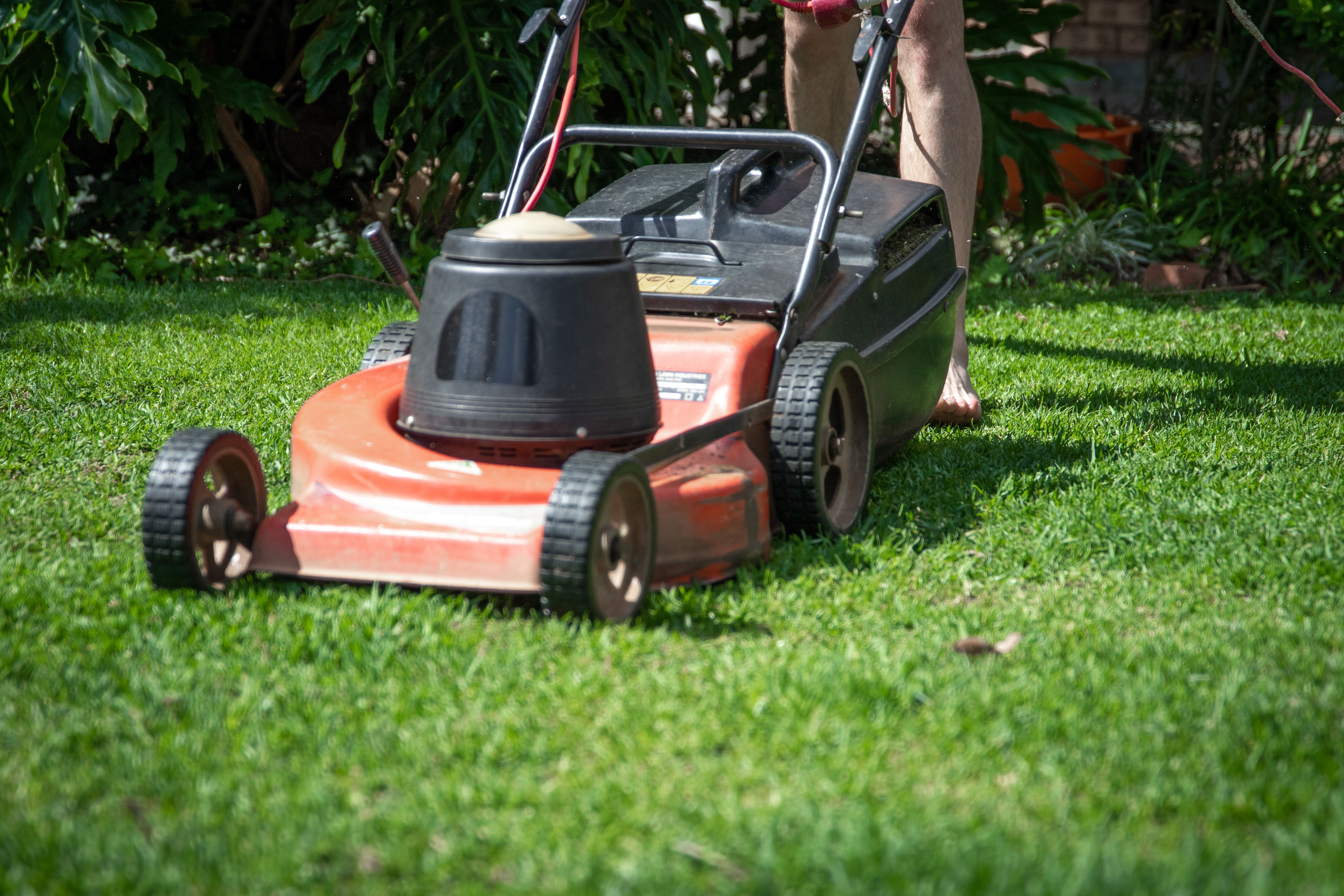 Professional lawnmower service and repair